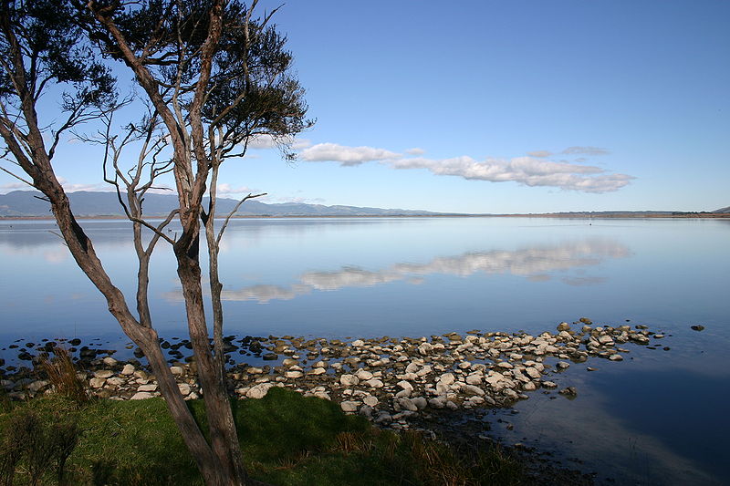 Lake Wairarapa 