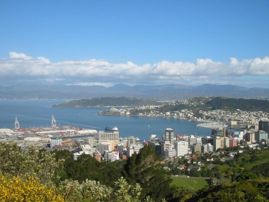 Wellington City and Harbour